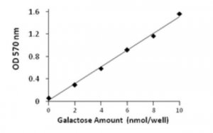 Galactose Assay Kit MAK012-1KT