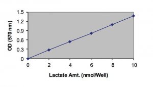 Lactate Assay Kit MAK064-1KT