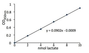 Lactate Assay Kit II MAK065-1KT