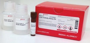 LCAT Activity Assay Kit MAK107-1KT