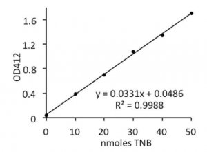 Lipase Activity Assay Kit II MAK047-1KT