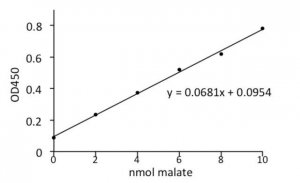 Malate Assay Kit MAK067-1KT