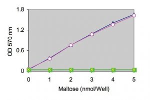 Maltose and Glucose Assay Kit MAK018-1KT