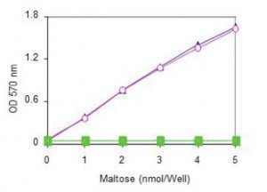 Maltose Assay Kit MAK019-1KT
