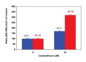 Mitochondrial Membrane Potential Kit MAK159-1KT