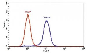 Mitochondrion Membrane Potential Kit MAK146-1KT