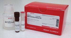 MTP Activity Assay Kit MAK110-1KT