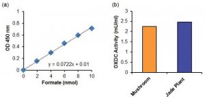 Oxalate Decarboxylase Activity Assay Kit MAK214-1KT