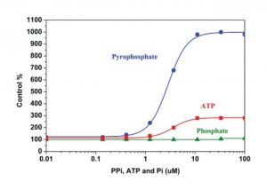Pyrophosphate Assay Kit MAK168-1KT