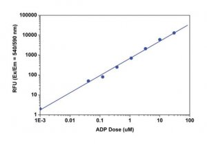 Universal Fluorometric Kinase Assay Kit MAK173-1KT