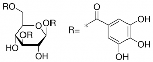 1,3,6-Trigalloylglucose SMB00247-1MG