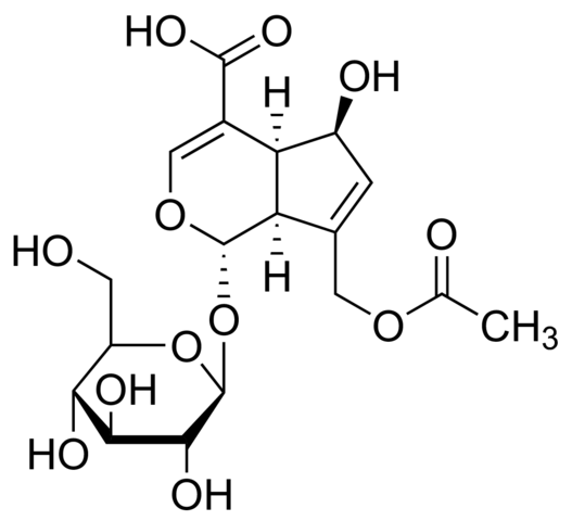 Asperulosidic acid SMB00153-1MG