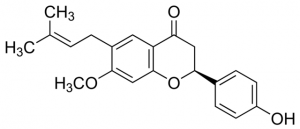 Bavachinin SMB00100-1MG