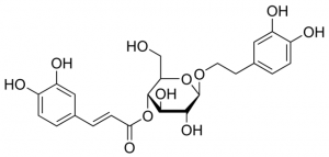 Calceolarioside A SMB00246-1MG