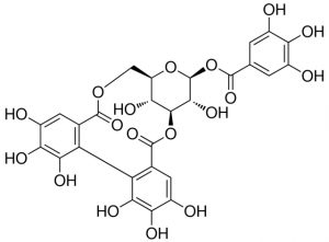 Corilagin 