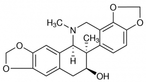 Corynoline 