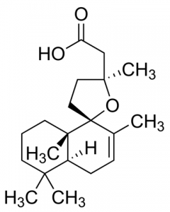 Grindelic acid SMB00109-1MG