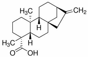 Kaurenoic acid SMB00177-1MG