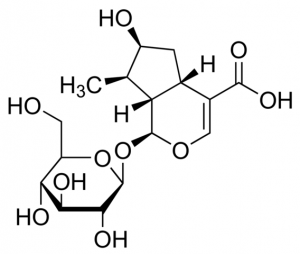 Loganic acid SMB00231-1MG