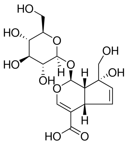 Monotropein SMB00471-5MG
