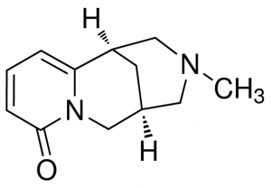 N-Methylcytisine SMB00353-5MG
