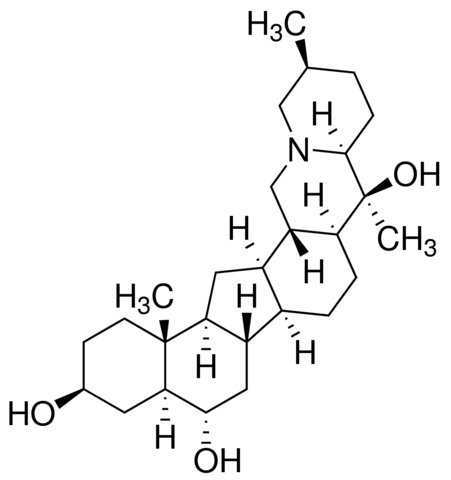 Peimine 