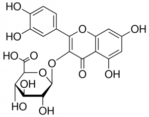Quercetin 3-glucuronide SMB00149-1MG