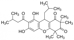 Rhodomyrtone SMB00114-1MG