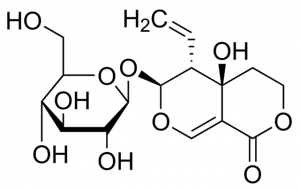 Swertiamarin SMB00080-1MG