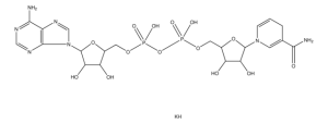 -Nicotinamide adenine dinucleotide, reduced dipotassium salt 