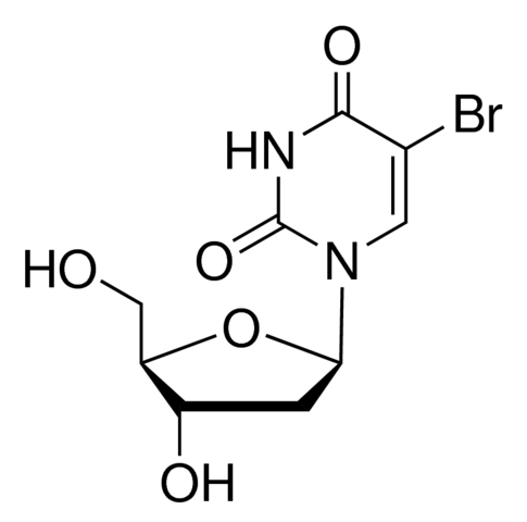 5-Bromo-2-deoxyuridine 
