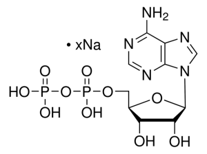 Adenosine 5-diphosphate sodium salt 