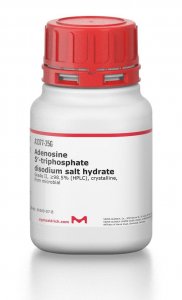 Adenosine 5-triphosphate disodium salt hydrate 