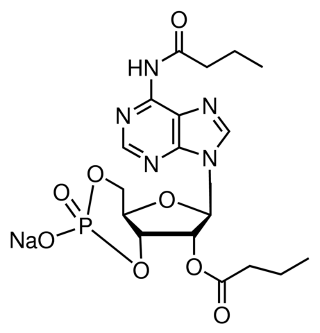 N6,2-O-Dibutyryladenosine 3,5-cyclic monophosphate sodium salt 