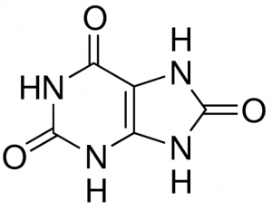 Uric acid 