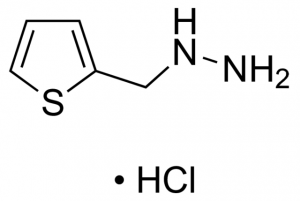 (2-Thienylmethyl)hydrazine hydrochloride CBR01534-1G