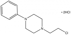 1-(2-Chloroethyl)-4-phenylpiperazine dihydrochloride CBR00654-1G