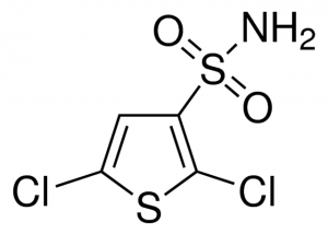 2,5-Dichlorothiophene-3-sulfonamide 