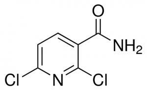 2,6-Dichloropyridine-3-carboxamide 
