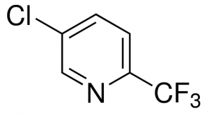 5-Chloro-2-(trifluoromethyl)pyridine 717304-500MG