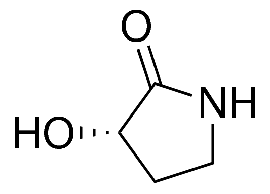 (S)-3-hydroxy-pyrrolidin-2-one CDS004995-100MG