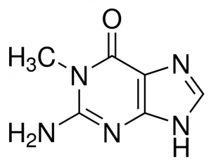 1-Methylguanine 