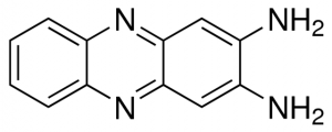 2,3-Diaminophenazine 