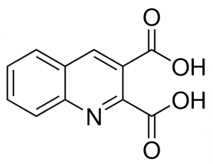 2,3-quinoline dicarboxylic acid CDS009597-100MG