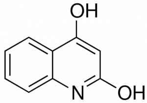 2,4-Quinolinediol Q1336-10G