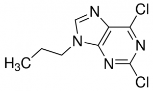 2,6-dichloro-9-propyl-9H-purine CDS017014-50MG