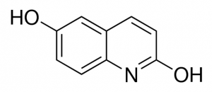 2,6-Quinolinediol 