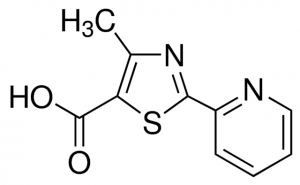 2-(2-Pyridyl)-4-methylthiazole-5-carboxylic acid 702528-1G