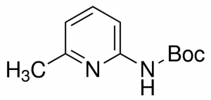2-(Boc-amino)-6-methylpyridine 748269-1G