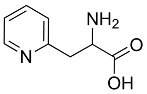 2-Amino-3-(pyridin-2-yl)propionic acid CDS020095-100MG